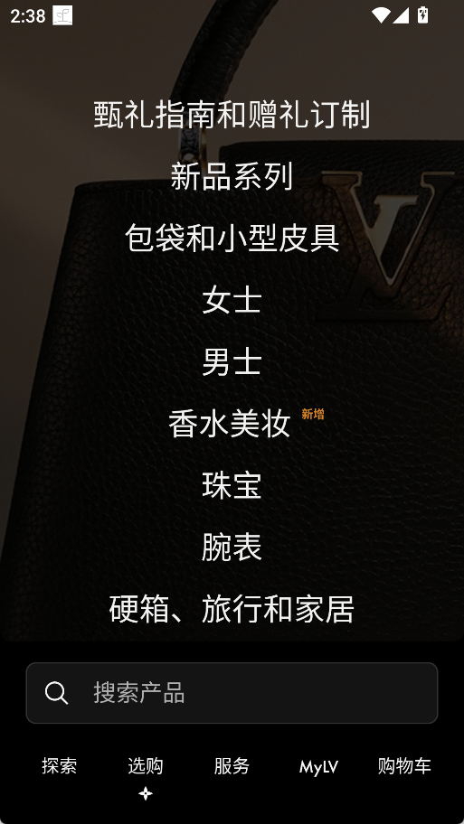 Louis Vuitton
