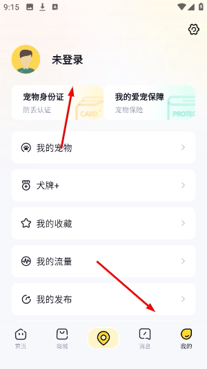 68宠物