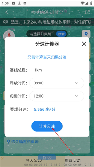 咕咕信鸽