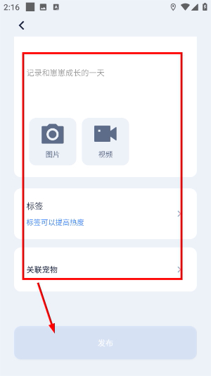 多尼斯