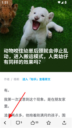 知乎日报app