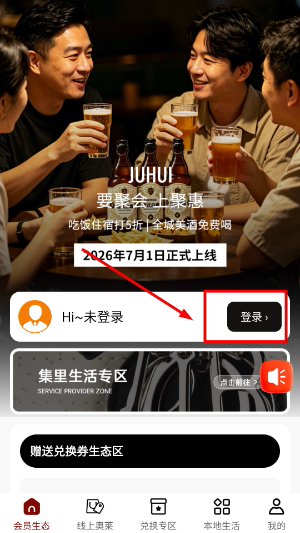 集里奥莱