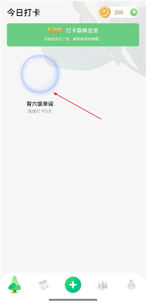 打卡森林