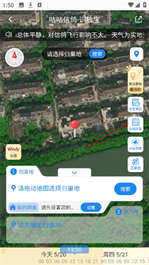 咕咕信鸽