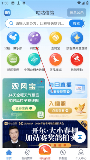 咕咕信鸽