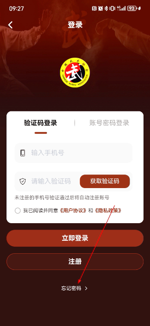 中国武术